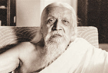 કલ્પવૃક્ષ: ભારતની સંસ્કૃતિ અને વિશ્વ માટે તેનું મહત્વ.