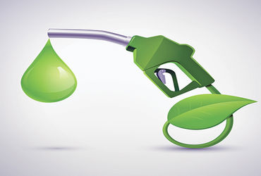 પેટ્રોલ-ડીઝલની અછત માટે સસ્તું બાયોફ્યુઅલ એક વિકલ્પ.