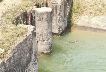 સુરેન્દ્રનગર-મોરબી કેનાલમાં સિમેન્ટના પોપડા ઉખડ્યા.