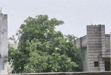 ગુજરાતના અનેક જિલ્લાઓમાં ગાજવીજ સાથે ધોધમાર વરસાદ, વંટોળ સાથે ધૂળની ડમરીઓ ઉડી