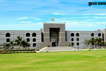 ગ્લુ ટ્રેપ મામલે હાઈકોર્ટ લાલચોળ: 'તમે જાણ્યા વગર જ બિલ પસાર કરી દીધું, અમને સરકારી વાર્તાઓમાં રસ નથી'