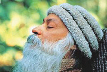 કલ્પવૃક્ષ                                                                  .