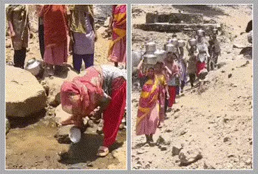 છોટા ઉદેપુરમાં 'નલ સે છલ': આકરી ગરમીમાં 2 બેડા પાણી માટે 2 કિલોમીટર દૂર પગપાળા જવું પડે છે, નસવાડી તાલુકાના ગામડાની બદતર હાલત
