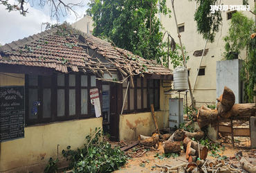 જામનગર: ભારે પવનના કારણે મહાકાય વૃક્ષ પડતા મહિલા પોલીસ મથક બન્યુ ખંડેર, સરકારી સામાનને મોટું નુકસાન