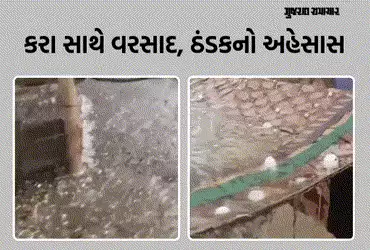 રાજ્યના કેટલાક જિલ્લાના વાતાવરણમાં પલટો: સાબરકાંઠાના પોશીનામાં કરા પડ્યા, અમરેલીમાં ગાજવીજ સાથે વરસાદ