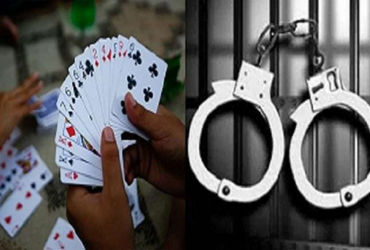 જૂનાગઢ જીલ્લામાં પોલીસની જુગારીઓ સામે તવાઈ  ૪૧ જુગારીઓ ઝડપાયા