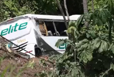 17 dead as bus with six Indians onboard plunges into ravine in Mexico: Reports - Vimarsana News