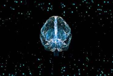 How our brain deals with stress on a micro level