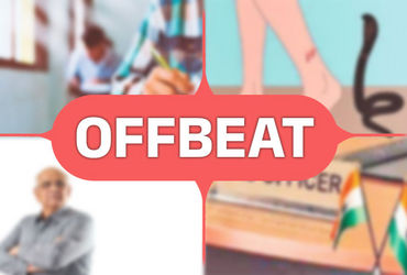 Offbeat: The search for promised investments, snake antidotes, medals, and more - Vimarsana News