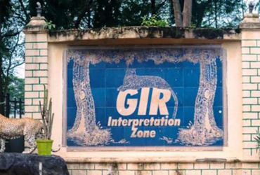 Gujarat govt allocates ₹277 cr for lion conservation in Gir region - Vimarsana News