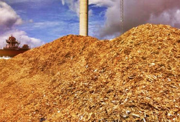 Cooking with biomass fuel in Northeast may pose alarming health risks: IIT-Mandi study - Vimarsana News