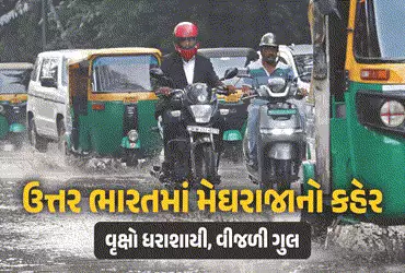 VIDEO : ઉત્તર ભારતમાં મેઘરાજાનો કહેર, દિલ્હી-NCRમાં વૃક્ષો ધરાશાયી, વીજળી ગુલ, સાત લોકોના મોત do sex
