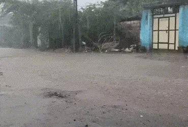 Rainfall