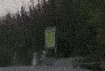 દિવાળી પર કાશ્મીરમાં આતંકી હુમલાનું ષડયંત્ર નિષ્ફળ, સુરક્ષા દળોએ IEDને નષ્ટ કર્યો