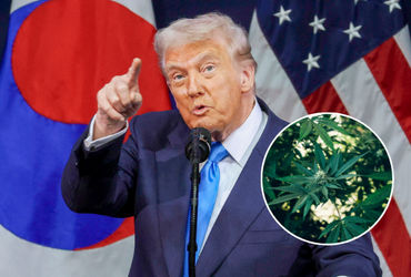 અમેરિકન પ્રમુખ ડોનાલ્ડ ટ્રમ્પે ગાંજાનો દરજ્જો બદલવાના એક્ઝિક્યુટિવ ઓર્ડર પર હસ્તાક્ષર કર્યા છે. અત્યાર સુધી ગાંજાને 'શેડ્યૂલ 1' શ્રેણીમાં મૂકવામાં આવ્યો હતો. આ શ્રેણી એવી ખતરનાક વસ્તુઓ માટેની છે, જે ખૂબ નશો કરે, બહુ જોખમી હોય અને તબીબી કામમાં ન આવતી હોય. હવે ગાંજાને 'શેડ્યુલ 3' શ્રેણીમાં ખસેડવામાં આવશે, જેમાં નશાકારક વસ્તુઓનો સમાવેશ થાય છે, પણ એ વસ્તુઓનો કાયદેસર તબીબી ઉપયોગ પણ થતો હોય છે. ટ્રમ્પે કહ્યું હતું કે, ‘આ પુનઃવર્ગીકરણથી ગાંજા પર તબીબી સંશોધન કરવું ખૂબ સરળ થઈ જશે. વિજ્ઞાનીઓ હવે ગાંજાના ફાયદા-નુકસાનનો વધુ સરળતાથી અભ્યાસ કરી શકશે.’