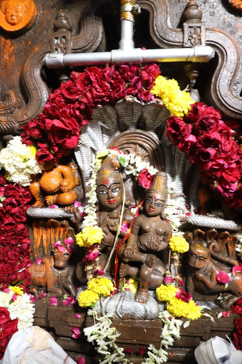 વર્ષમાં માત્ર 24 કલાક માટે ખુલે છે ભોળાનાથ અને નાગ દેવતાનું આ મંદિર, કાલસર્પ દોષથી મળે છે મુક્તિ 2 - image