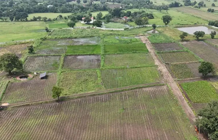 Farmers land converted to Shri Sarkar no actions against businessman who had illegally usurped it