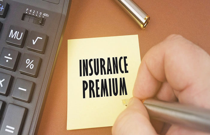 નવેમ્બર માસમાં વીમા કંપનીઓની પ્રીમિયમ આવકમાં 20 ટકાનો વધારો 1 - image