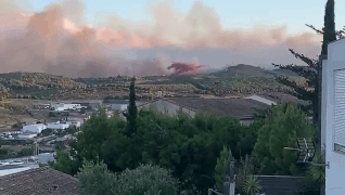 ફ્રાન્સમાં ભયાનક દાવાનળ : 2000 હેક્ટર જંગલ બળીને રાખ, એરપોર્ટ-રેલવે સેવા બંધ કરાઈ 1 - image