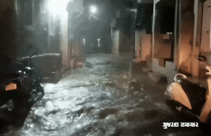 VIDEO: અમરેલીના સાવરકુંડલા, રાજુલા સહિત ગ્રામ્ય વિસ્તારોમાં ગાજવીજ સાથે ધોધમાર વરસાદ 5 - image