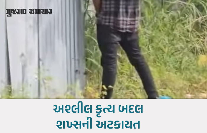 અમદાવાદમાં જાહેર સ્થળે અશ્લીલતા: વસ્ત્રાપુર–જીએમડીસી રોડ પર પેટ્રોલિંગ દરમિયાન યુવકની અટકાયત 1 - image