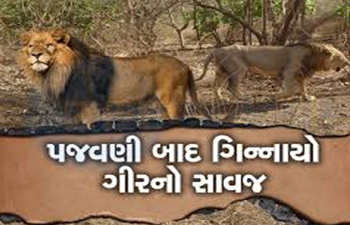 પુરપાટ ઝડપે ગાડી દોડાવી સિંહને ઉભી પૂછડીએ ભગાડયો : વિડીયો વાયરલ થયો 1 - image