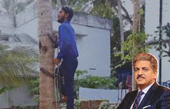 બજારની વાત                                  . 5 - image