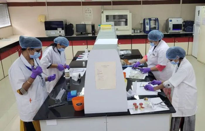 Y chromosome testing at Gandhinagar FSL used to confirm father son identities