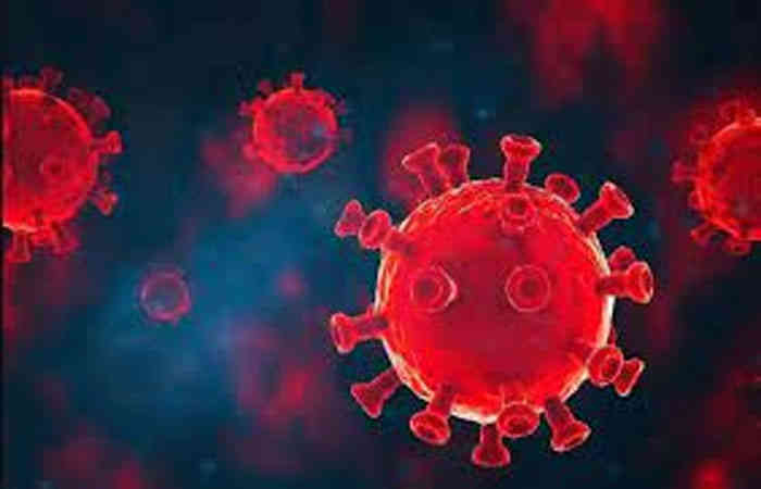 કોવિડ-૧૯ના કેસ ઘટાડો : 315 પોઝિટિવ સામે 491 દર્દી નેગેટીવ 1 - image