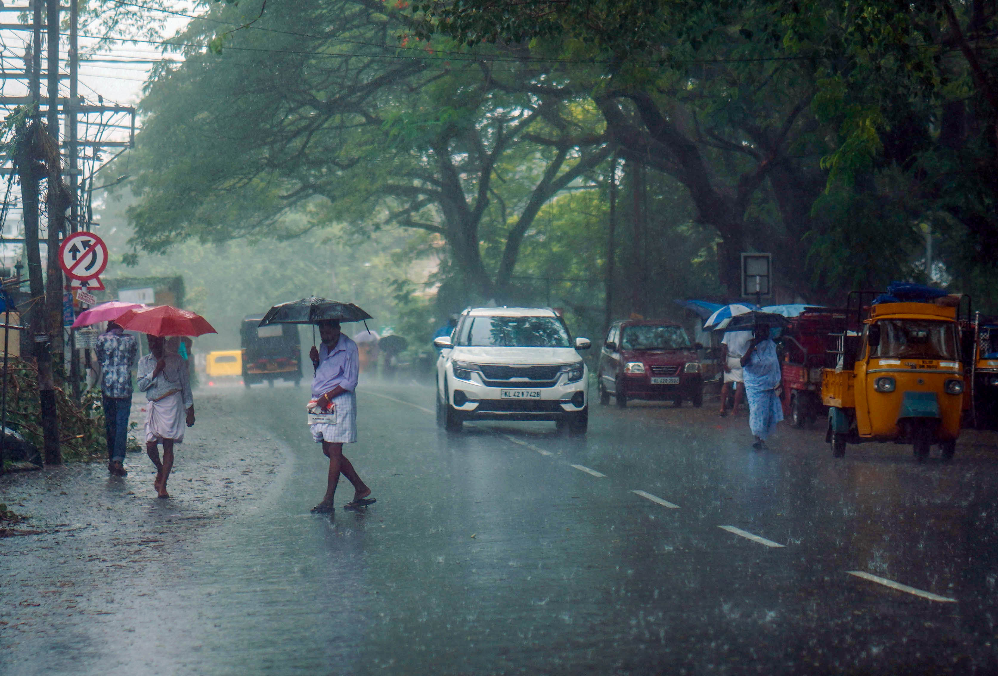 Kerala sees early monsoon arrival after 16 years IMD announces 8 day advance rainfall