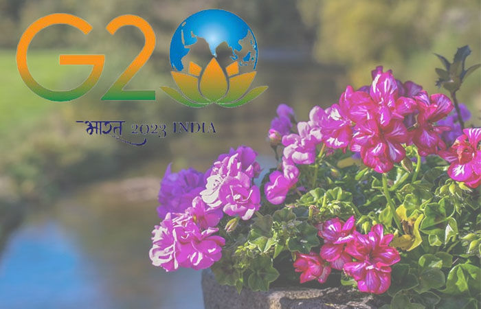 G 20 માટે શણગારેલી દિલ્હીમાં ફૂલોના કૂંડા ચોરાયા, પોસ્ટર-બેનરો ફાડી નખાયા, તંત્રમાં દોડધામ 1 - image