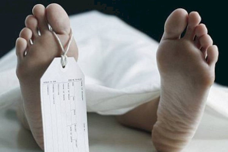 વટવામાં સ્લાઇડર બારી સાફ કરતા પાંચમા માળેથી પડતા યુવકનું મોત 1 - image