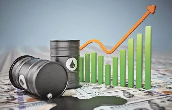 ક્રૂડ ઓઈલના સપ્લાયના ધાંધિયા મેન્યુફેક્ચરીંગ ક્ષેત્રે ચિંતાનો વિષય 1 - image