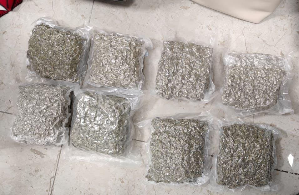 સુરત એરપોર્ટ પરથી કરોડોની કિંમતનો ડ્રગ્સ ઝડપાયોઃ બેંગકોક 2ના મુસાફર પાસેથી 4 કિલો હાઇડ્રોપોનિક વીડ જપ્ત - તસવીર