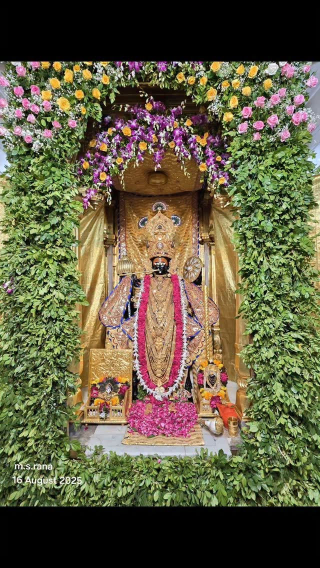 ગુજરાતમાં શ્રી કૃષ્ણ જંમાસોત્સવની એક ભવ્ય ઉજવણી, દ્વારકા -ડેકોર અને શામલાજી મંદિરોમાં ભક્તોનો સમુદ્ર 4 - છબી