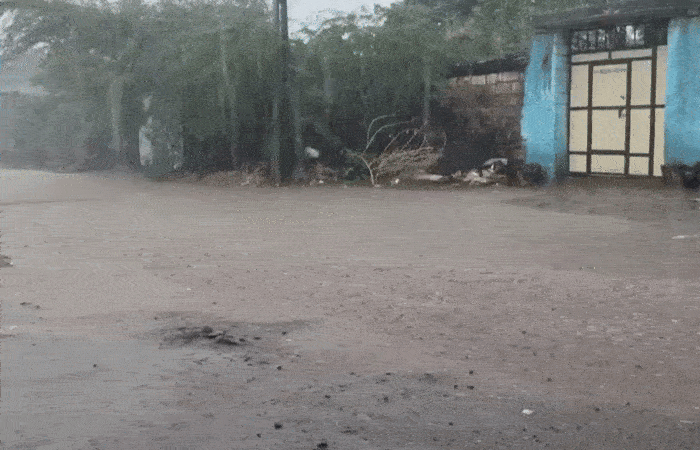 Yellow alert issued over 10 district in Gujarat for Friday as monsoon sets in