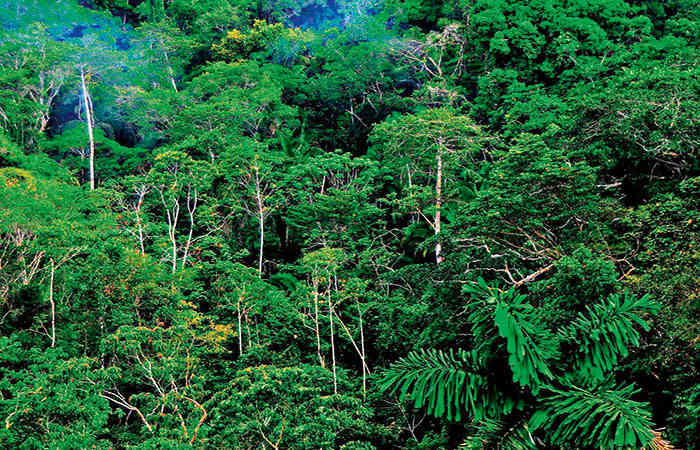 ભારતનું  કુદરતી વૈવિધ્ય          . 1 - image