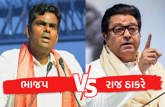 K Annamalai Reply Raj Thackeray