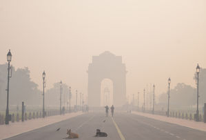 Delhi's air quality in 'very poor' category with average AQI at 305; Wazirpur, Mundka soar above 400
