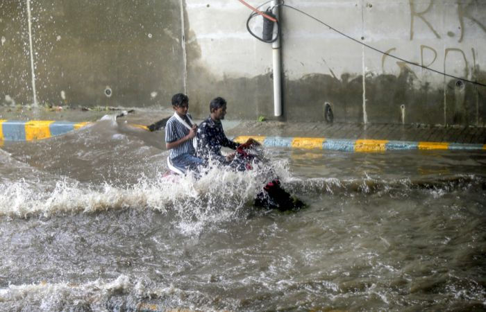Rainfall in Gujarat 145 talukas receive showers Umarpada records highest in 24 hours check forecast