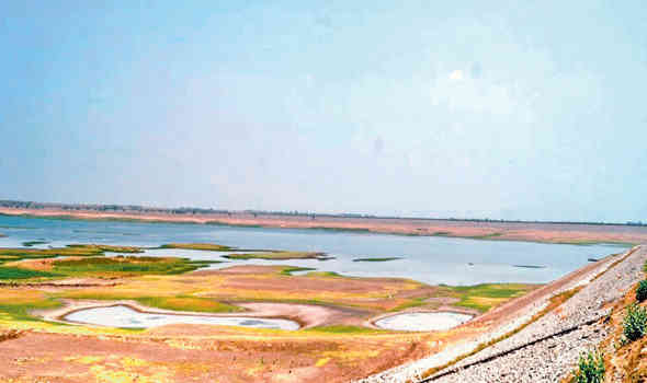 દાંતીવાડા ડેમમાં 11, સિપુ ડેમમાં 24 ટકા પાણી 1 - image