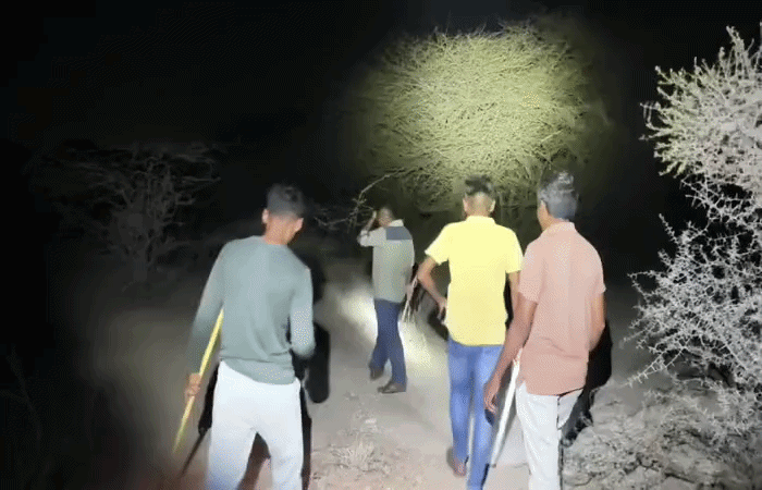 જામનગર નજીક મોખાણા ગામની સીમમાં દીપડો દેખાતાં ગ્રામજનોમાં ભયનો માહોલ : ફોરેસ્ટ વિભાગે હાથ ધરી શોધખોળ 1 - image