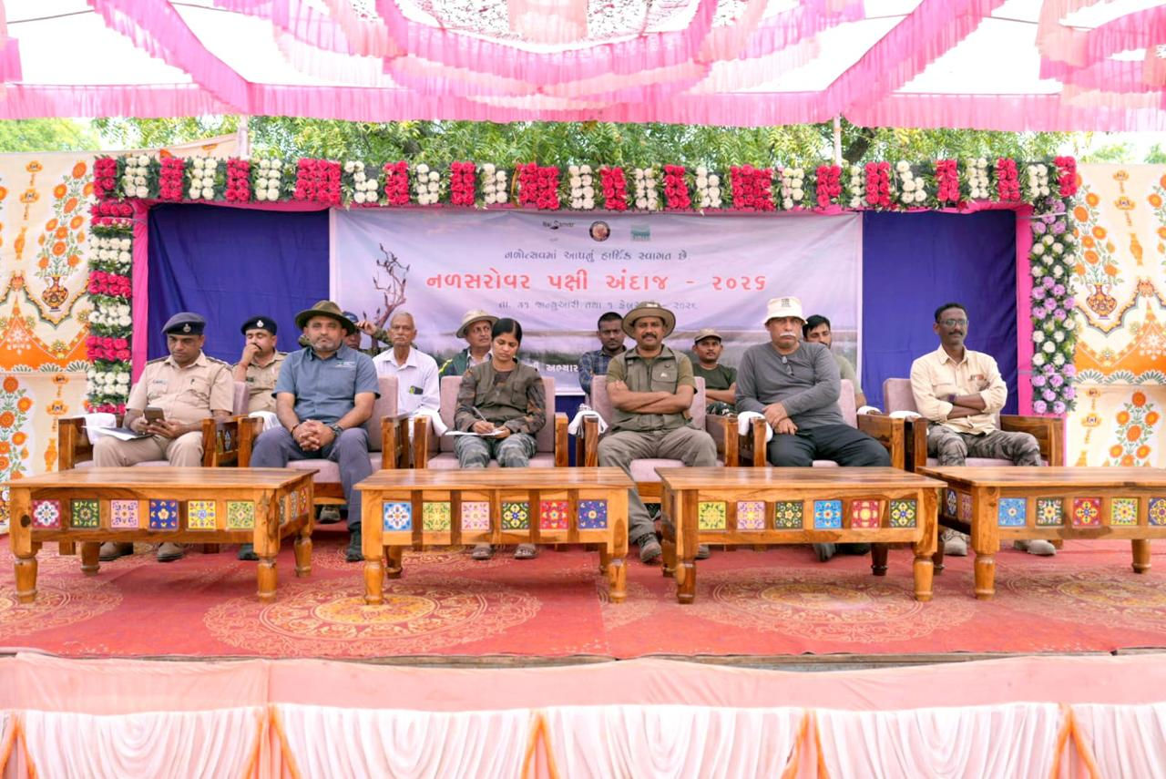 પક્ષીઓ માટે નળ સરોવર બન્યું સ્વર્ગ, 270 પ્રજાતિના 6.42 લાખથી વધુ પક્ષીઓની હાજરી, 2 જાણવા માટે ગણતરીની ટેકનિક - તસવીર