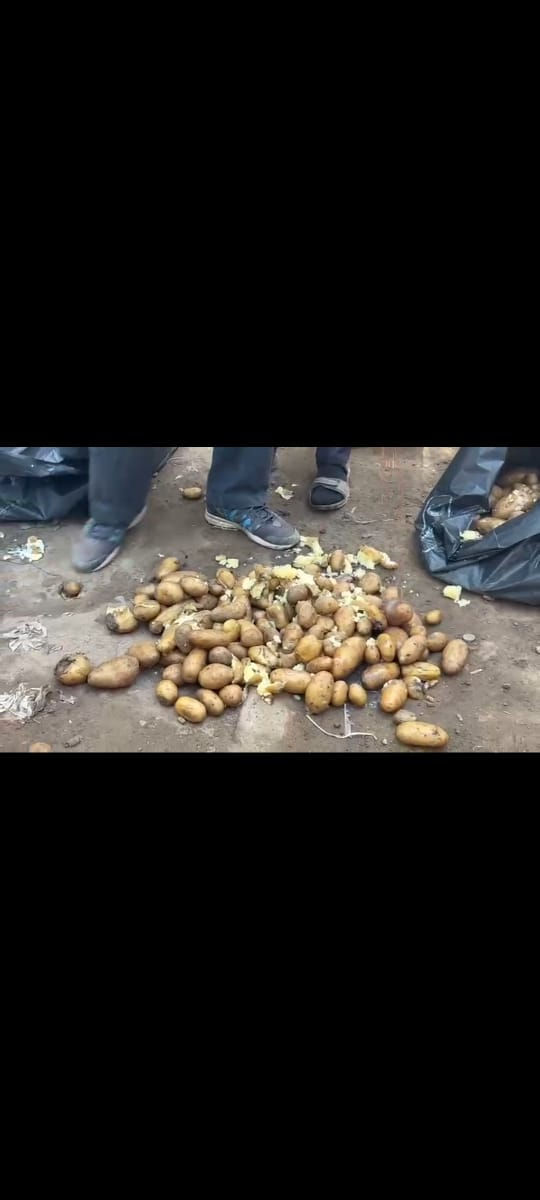 ત્રણ ઝોનમાં પાણીજન્ય રોગના કેસ વધતાં અમદાવાદમાં પાણીપૂરી વેચનારા સામે હેલ્થ વિભાગની કાર્યવાહી 1 - image