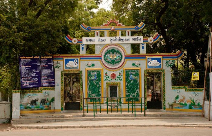 None of Ahmedabad’s councillors adopt zoo animals or birds 