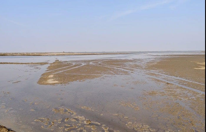 ધ્રાંગધ્રા અને પાટડી રણમાં કમોસમી વરસાદથી અગરિયાને ભારે નુકસાન 1 - image