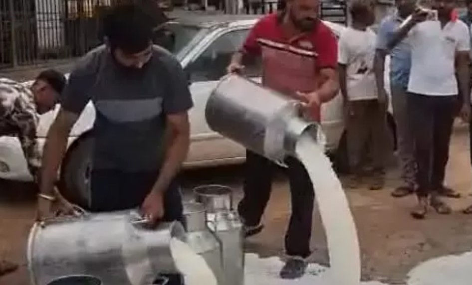 Gujarat: Sabar Dairy announces revised milk price for cattle farmers amid protests