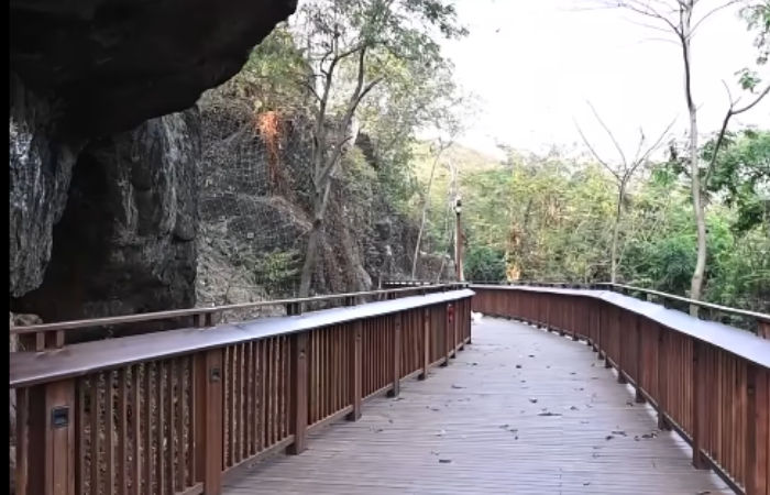 All you need to know about Malabar Hill Nature Trail, Mumbai’s first elevated nature walkway