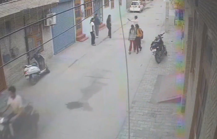 VIDEO : હરિયાણામાં ધોળા દિવસે યુવતી પર ગોળીબાર, હુમલાખોર ઓળખીતો જ નીકળ્યો 1 - image