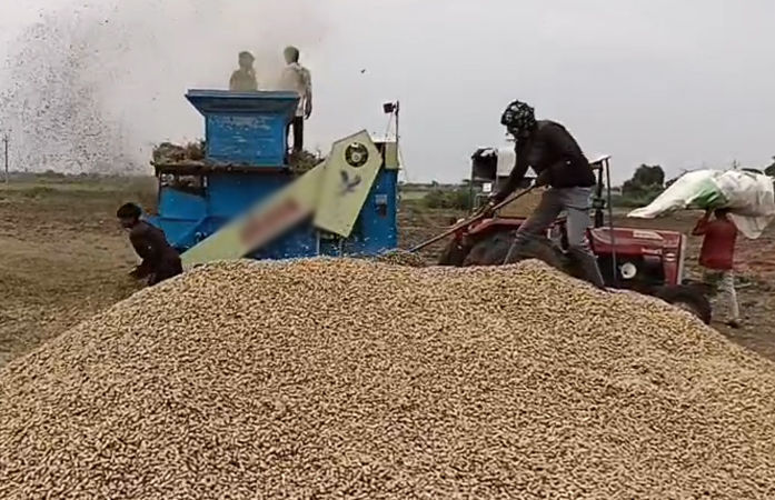 રાજ્ય સરકારની જાહેરાત: ખેડૂત દીઠ 125 મણ પાકની ટેકાના ભાવે કરાશે ખરીદી, કૃષિ મંત્રીએ આપી માહિતી 2 - image